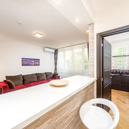 King Milan, Center 贝尔格莱德