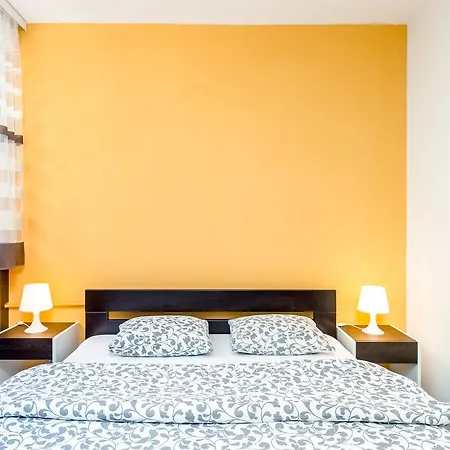 King Milan, Center 贝尔格莱德